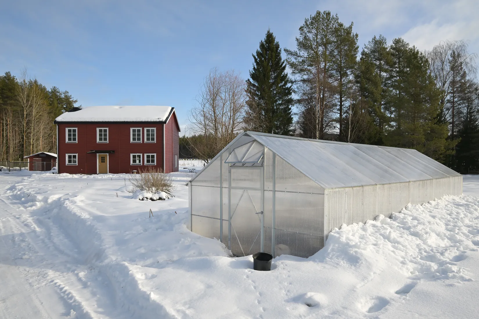Gård/Skog, Häggnäs 11, Vindeln