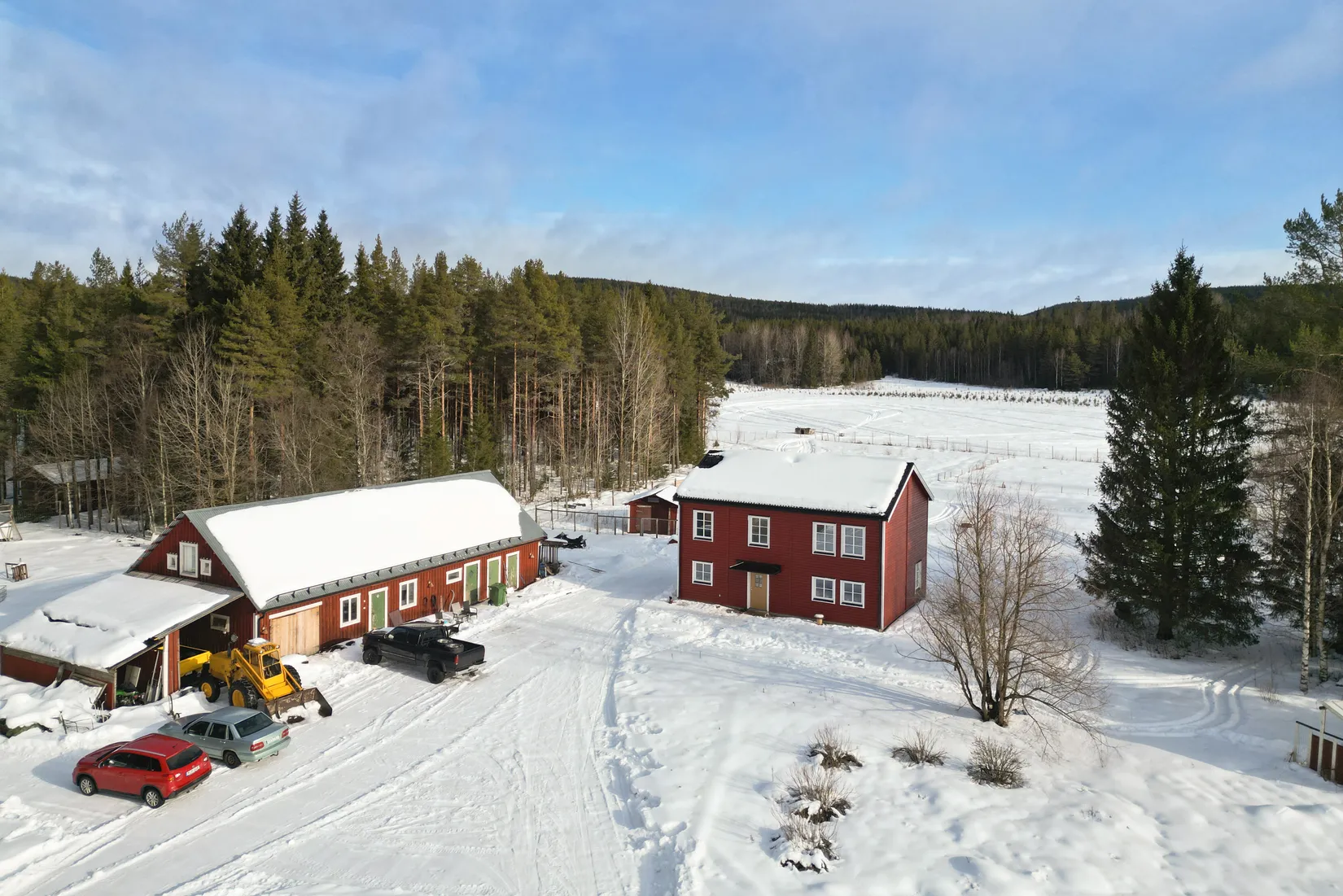 Gård/Skog, Häggnäs 11, Vindeln