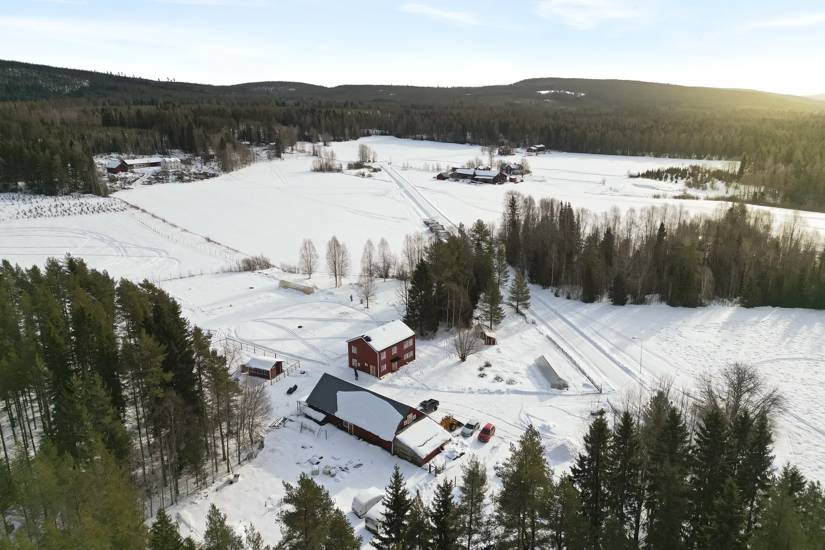 Gård/Skog, Häggnäs 11, Vindeln