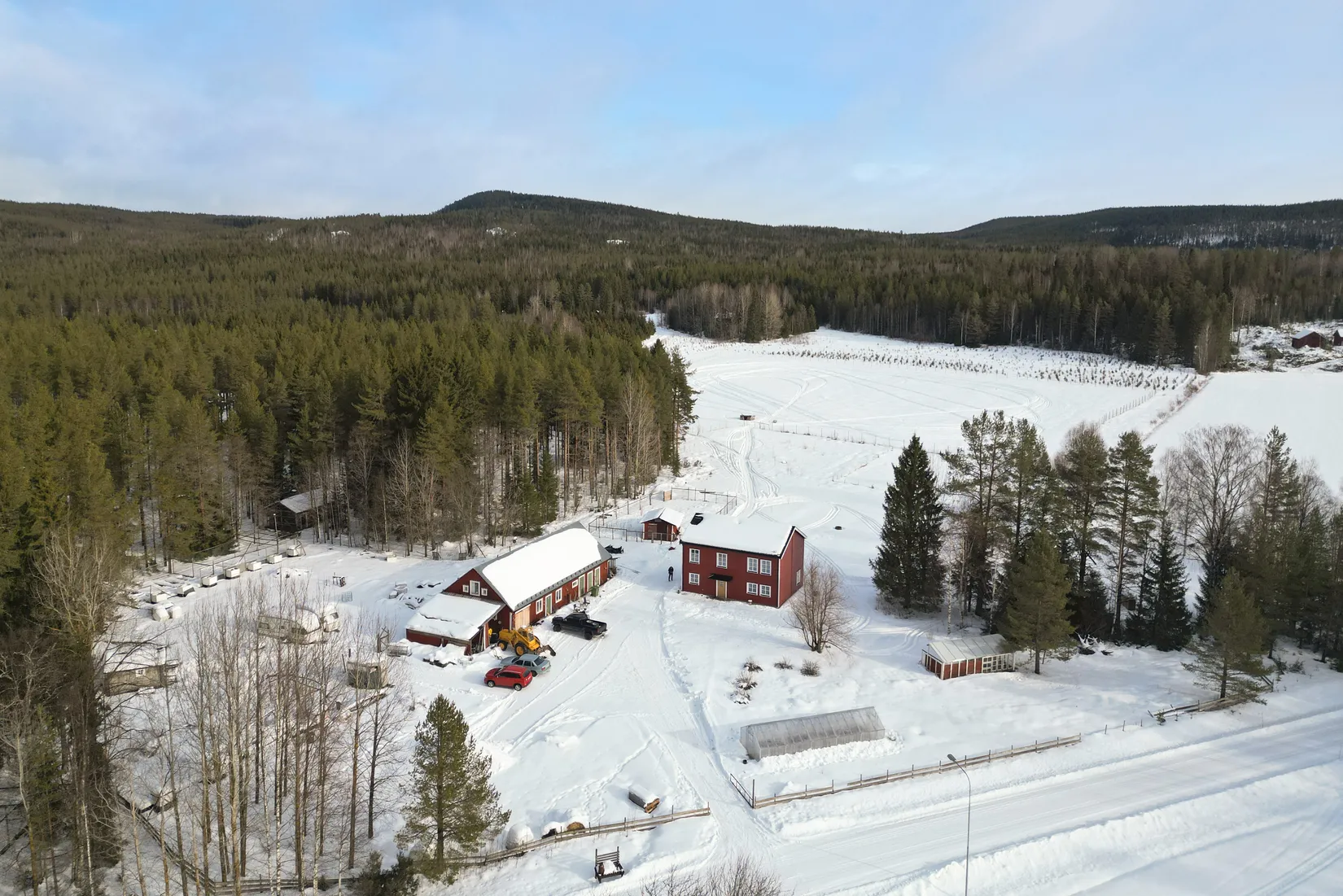 Gård/Skog, Häggnäs 11, Vindeln