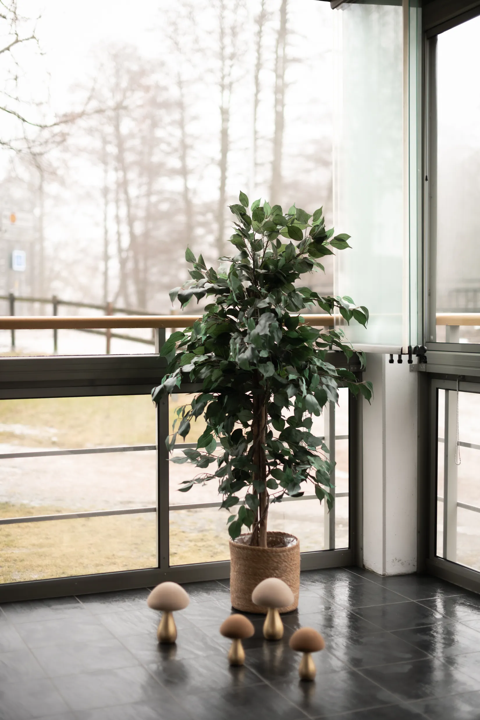 Bostadsrätt, Kyrkogårdsgatan 13, Druvefors, Borås