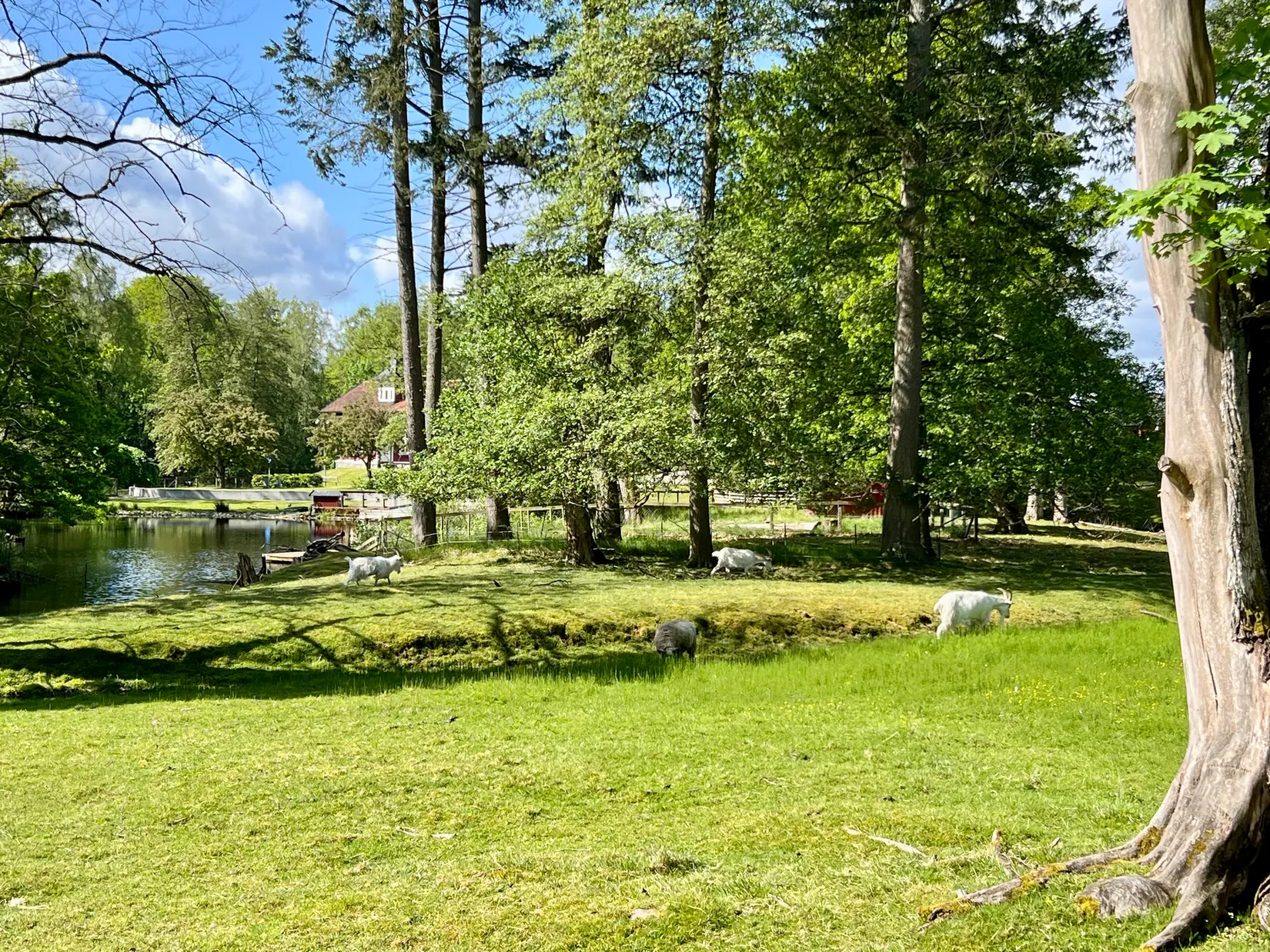 Bostadsrätt, Keramikgatan 47, Tegelbruket, Alingsås