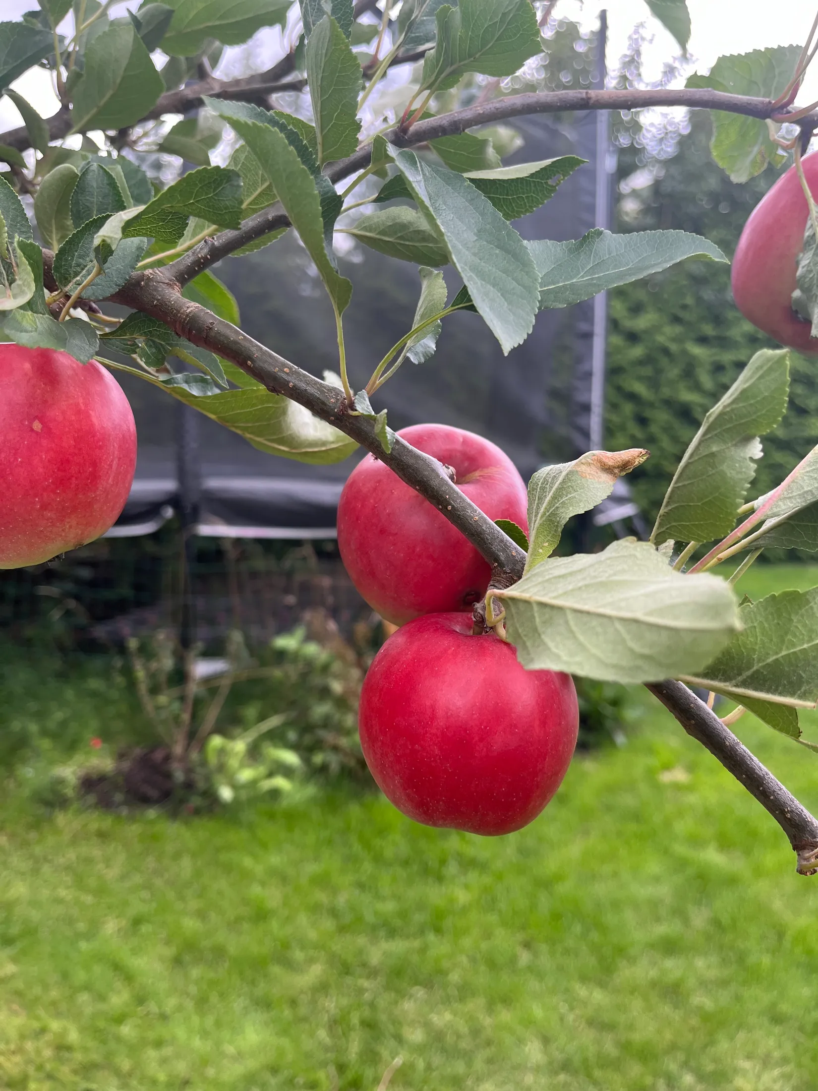 Bostadsrätt, Villa, Tuppstugevägen 20, Gudö, Haninge