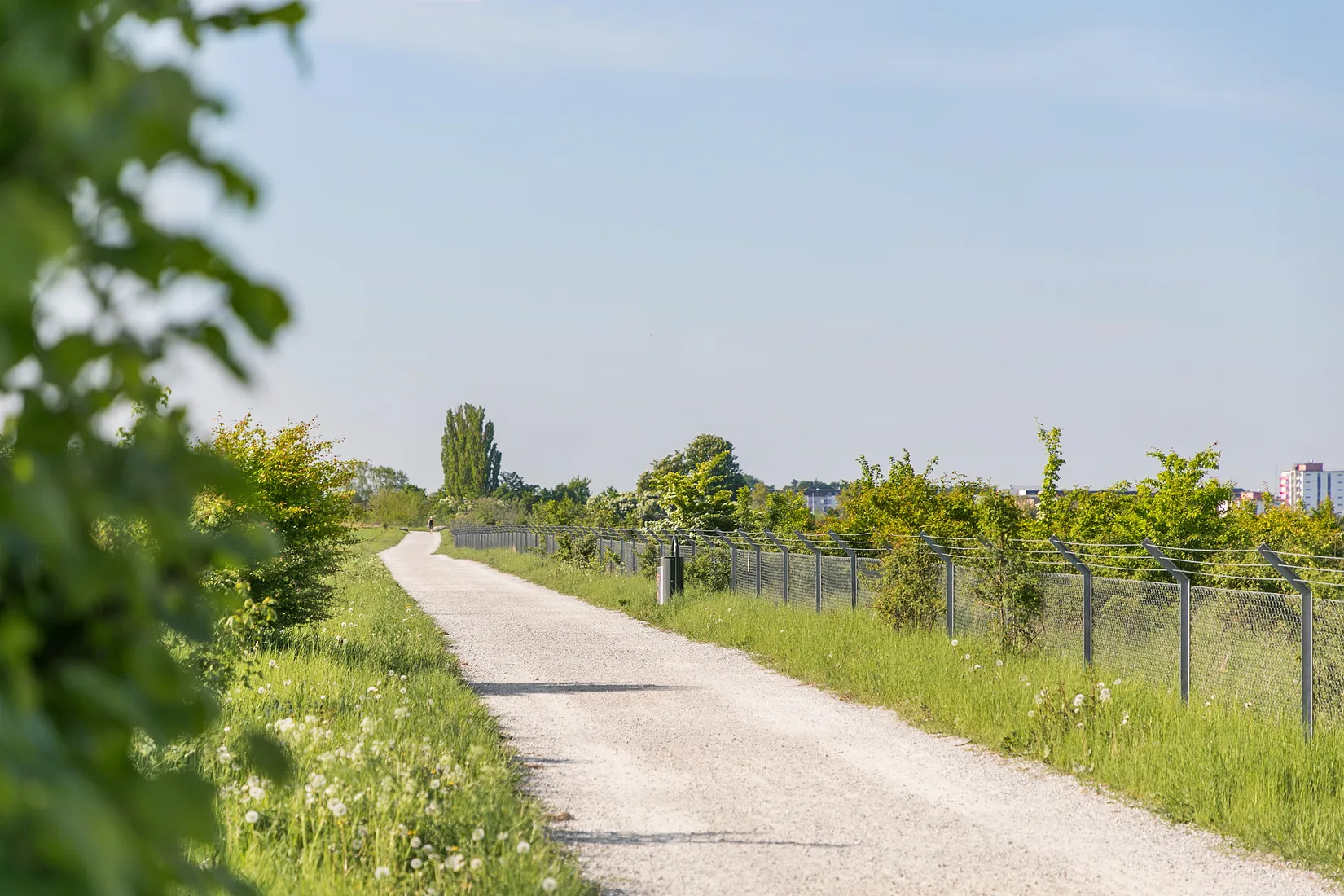 Bostadsrätt, Höbalsgatan 23, Elinegård, Malmö