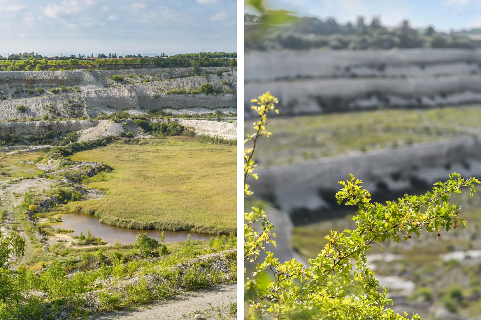 Bostadsrätt, Höbalsgatan 23, Elinegård, Malmö