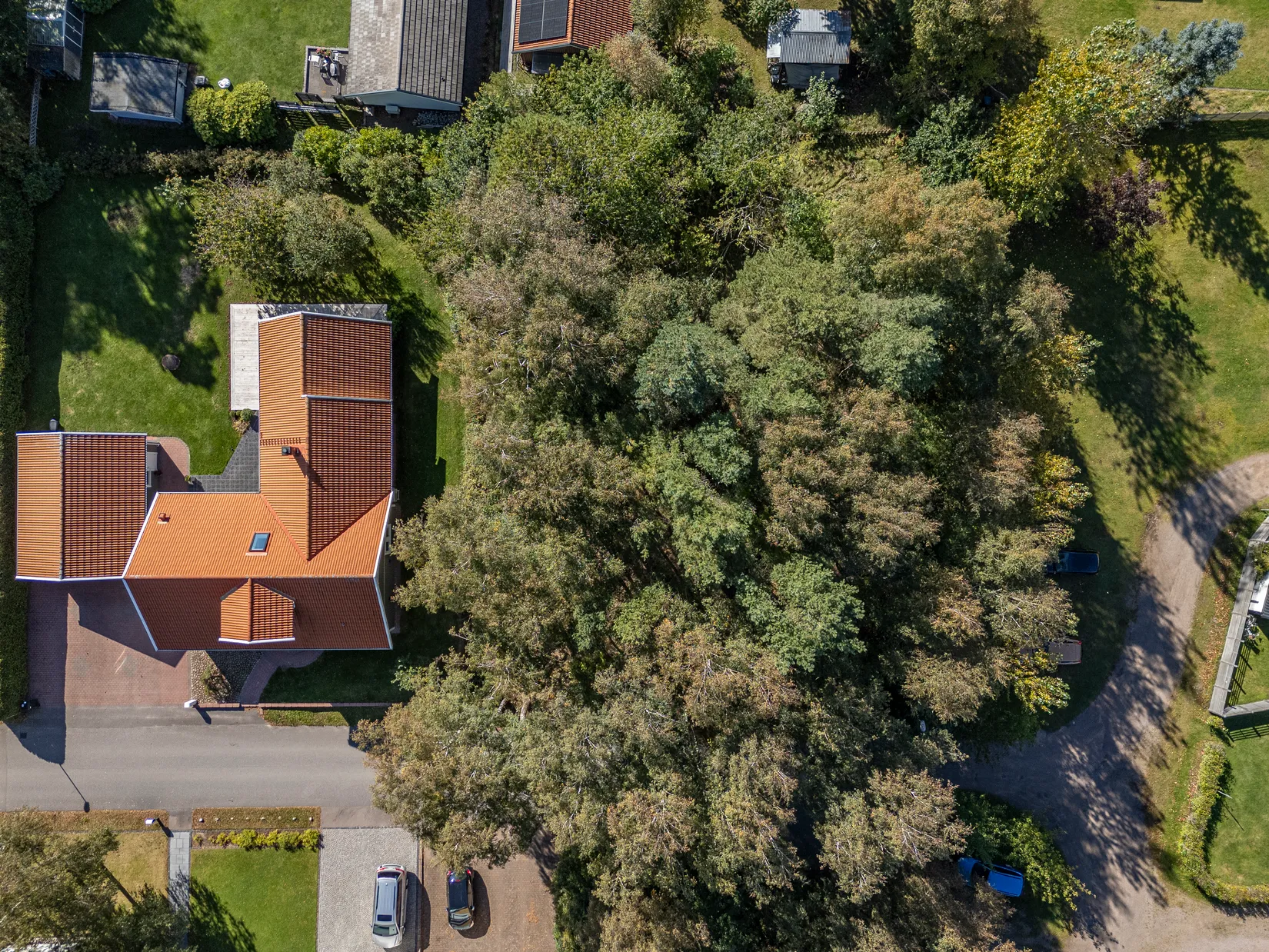 Tomt, Friggs gränd 9, Frösakull, Halmstad