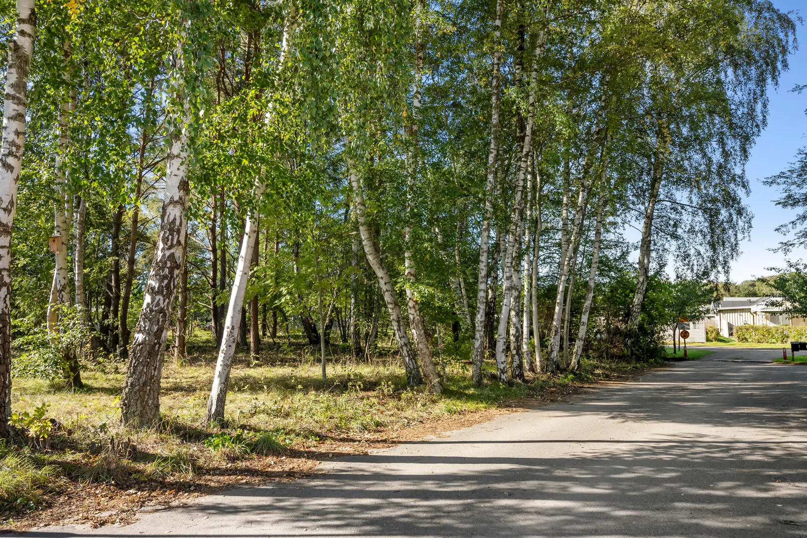 Tomt, Friggs gränd 9, Frösakull, Halmstad