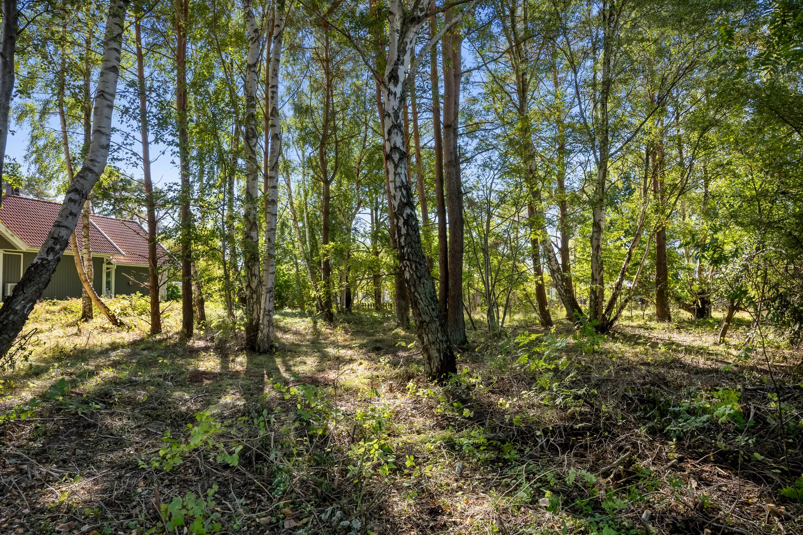 Tomt, Friggs gränd 9, Frösakull, Halmstad