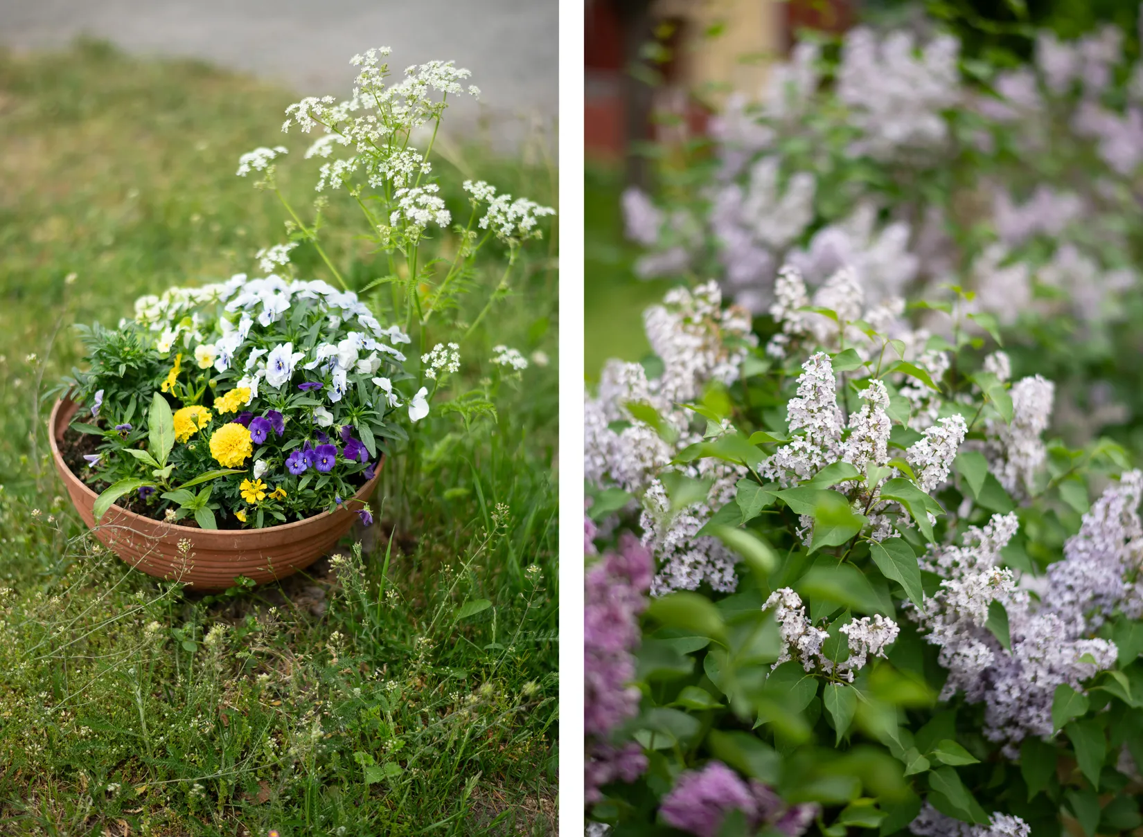 Bostadsrätt, Axbergsgränd 10, Rågsved, Stockholm