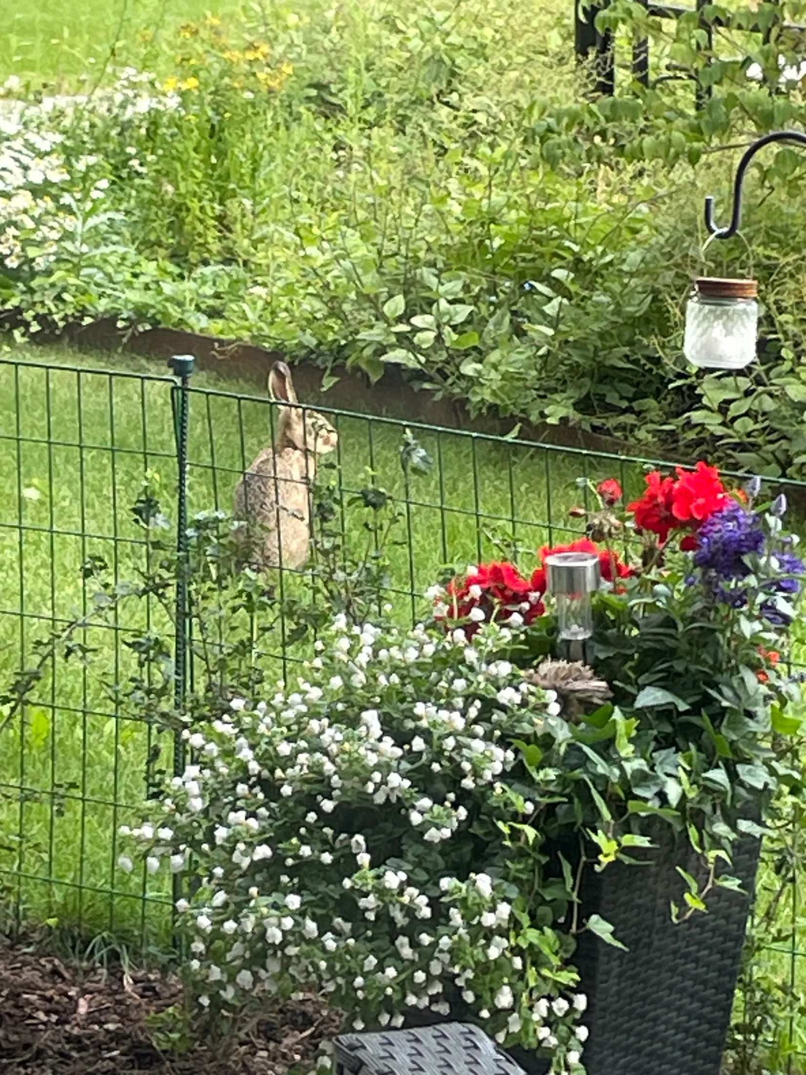 Bostadsrätt, Doktor Butlers gata 13, Sandbyhov, Norrköping