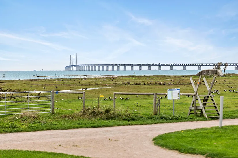 Villa, Flugsnapparevägen 11, Bunkeflostrand, Malmö