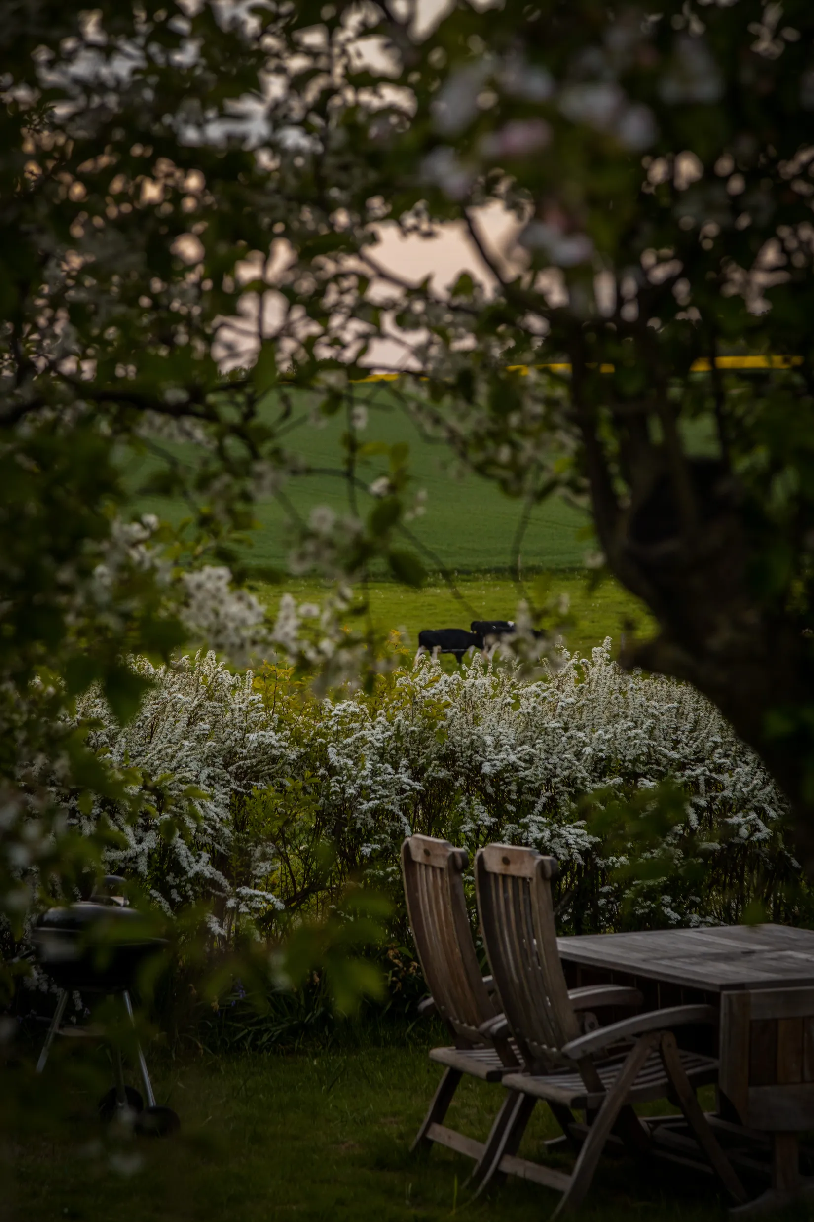 Fritidshus, Glimmingevägen 16, Glimminge, Simrishamn