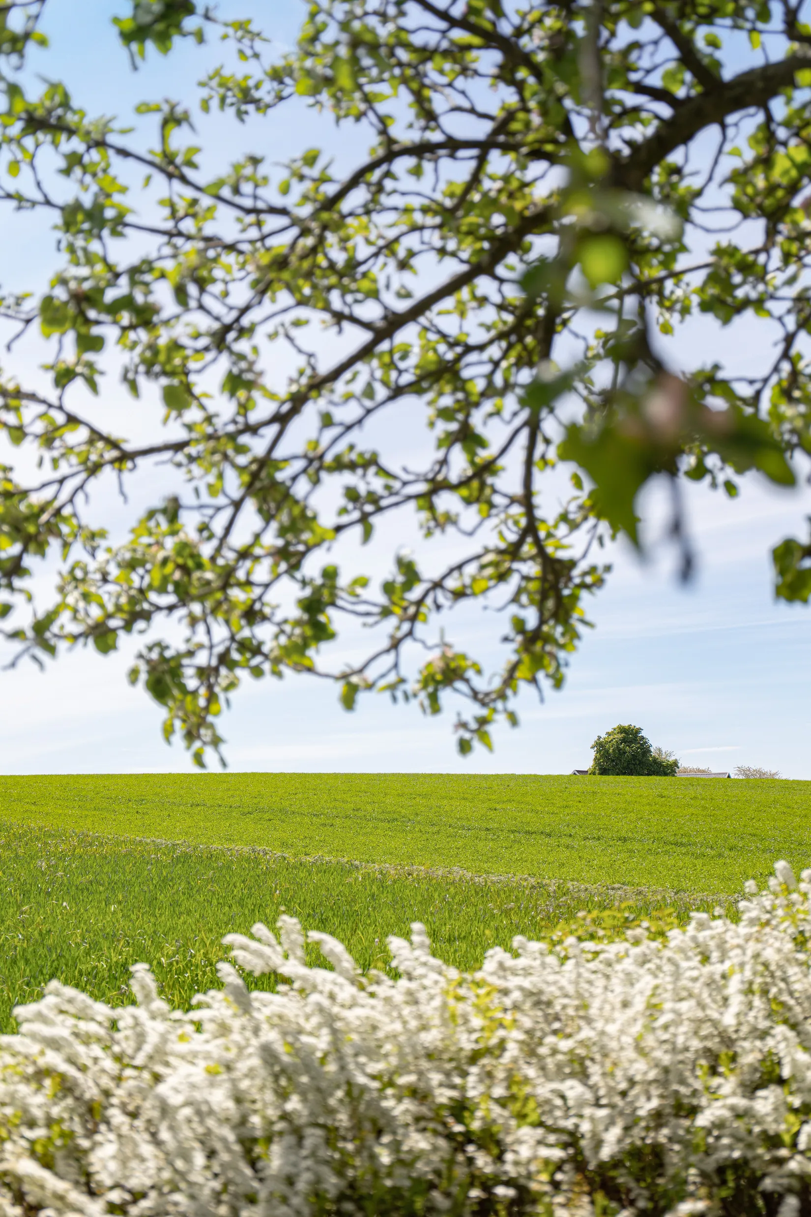 Fritidshus, Glimmingevägen 16, Glimminge, Simrishamn