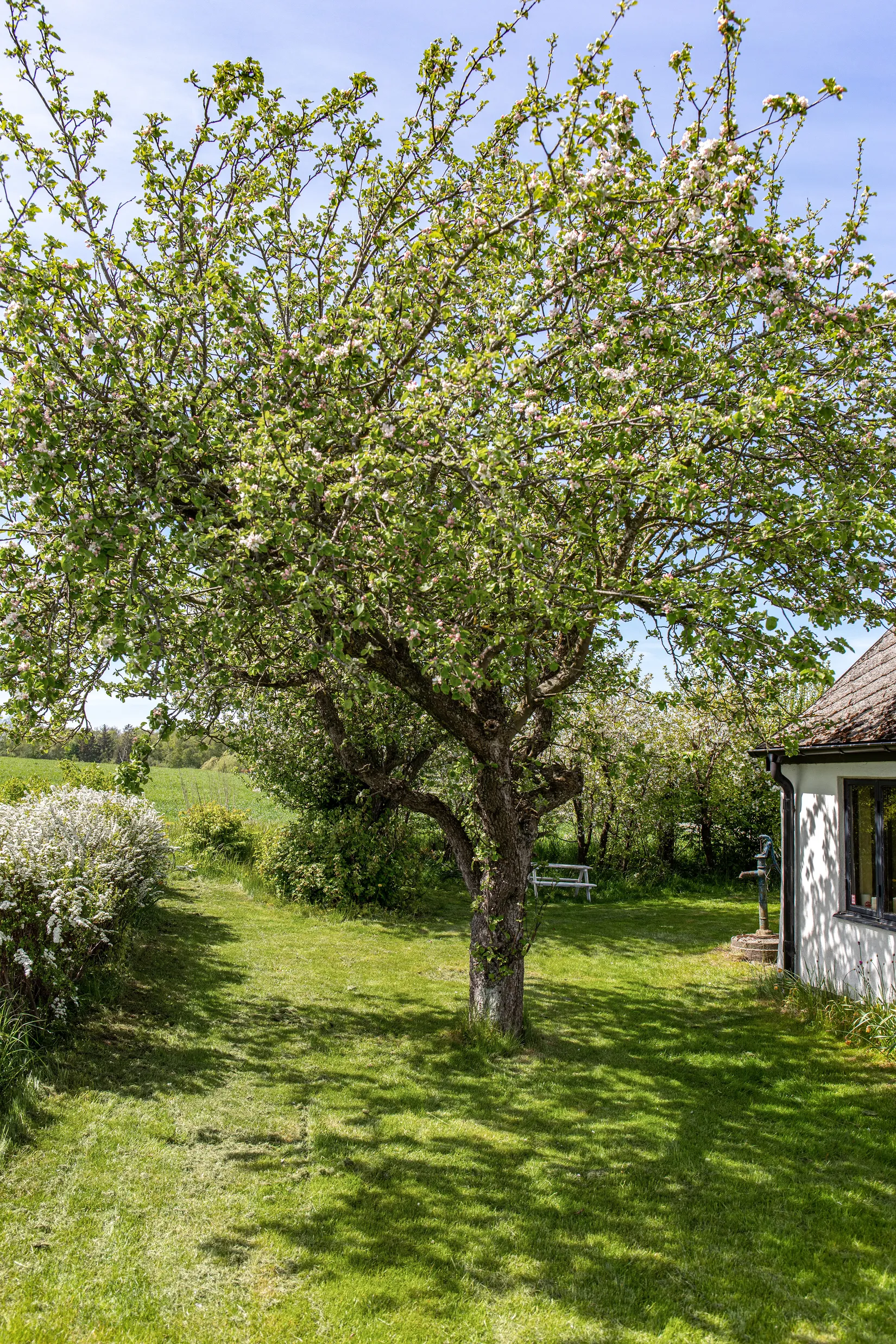 Fritidshus, Glimmingevägen 16, Glimminge, Simrishamn