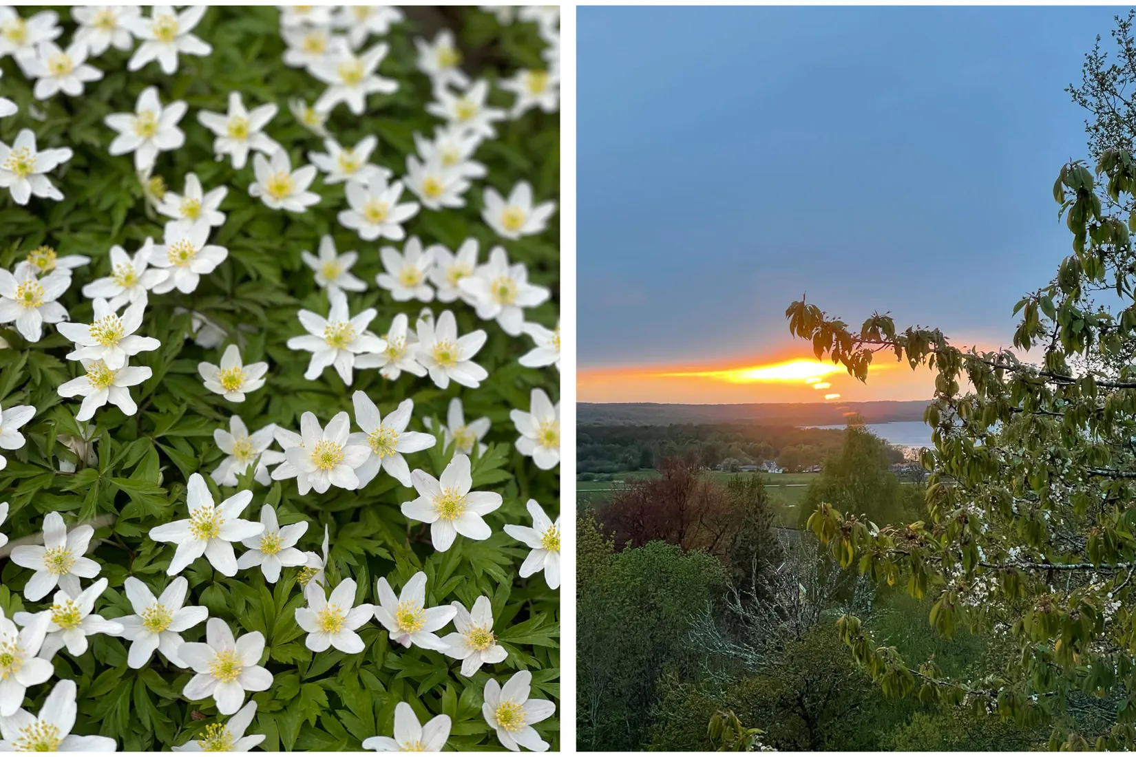 Villa, Murkelvägen 1, Tormestorp, Hässleholm