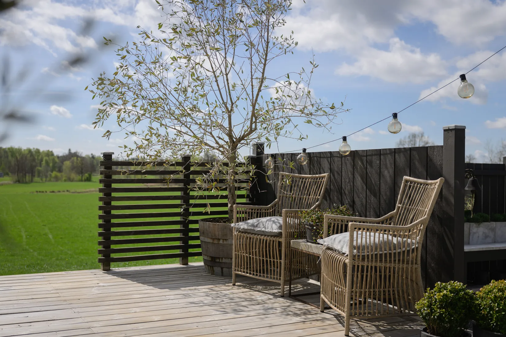 Gård/Skog, Maglasätevägen 17, Maglasäte, Höör