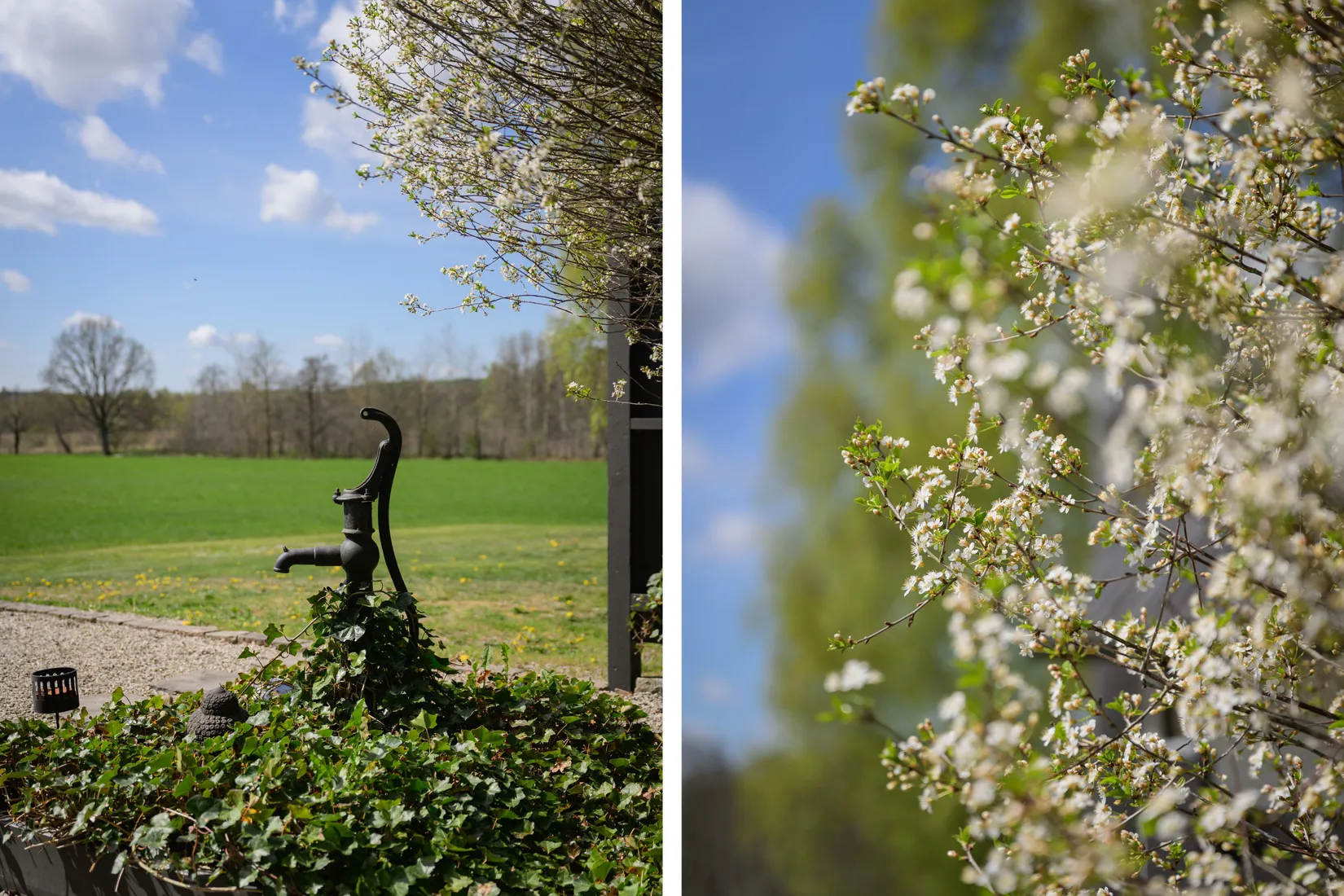 Gård/Skog, Maglasätevägen 17, Maglasäte, Höör