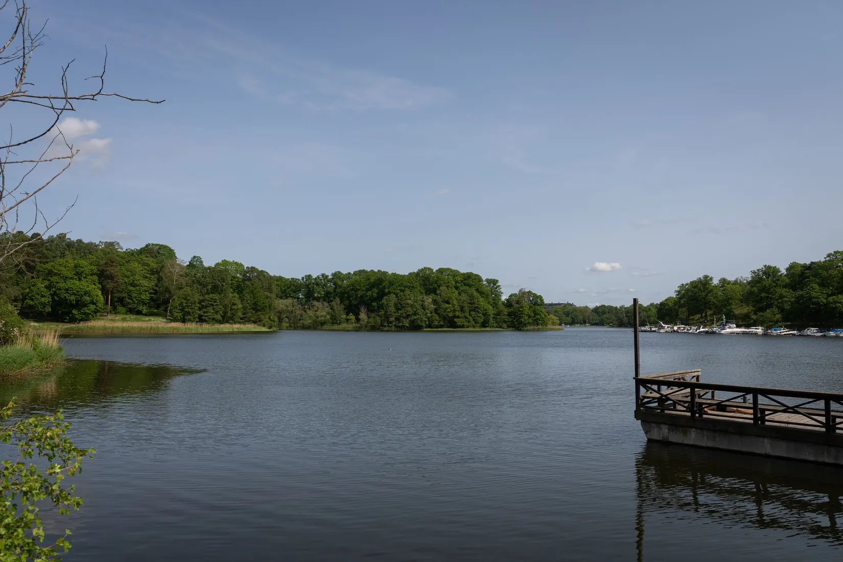 Bostadsrätt, Roslagsgatan 60, 1tr, Vasastan - Sibirien, Stockholm