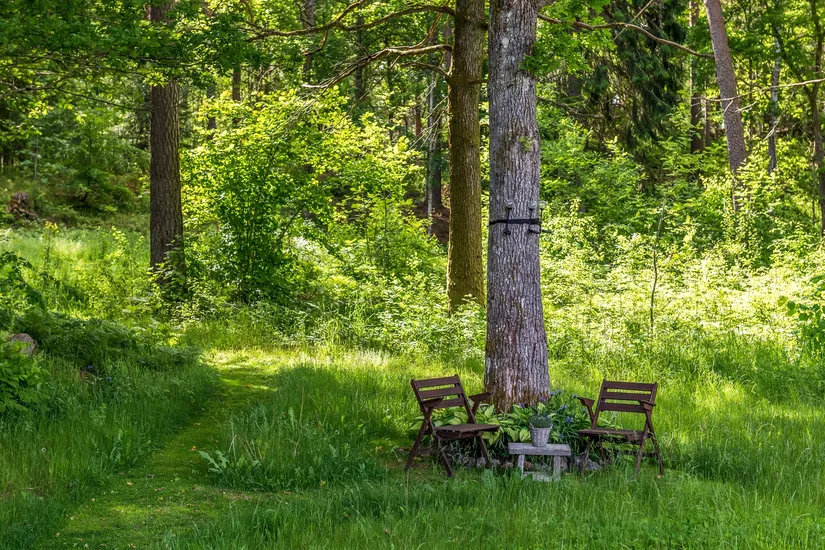 Villa, Törnevägen 4, Alingsås
