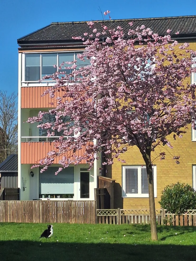 Bostadsrätt, Runslingan 6 A, Linero, Lund