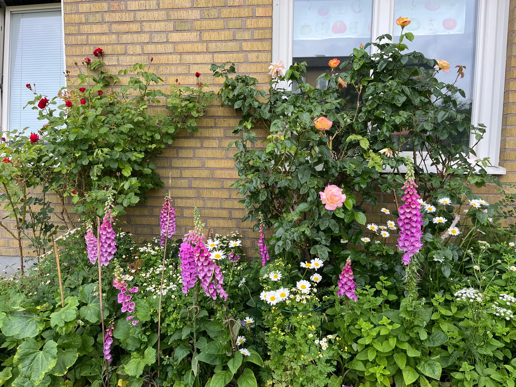 Bostadsrätt, Runslingan 6 A, Linero, Lund