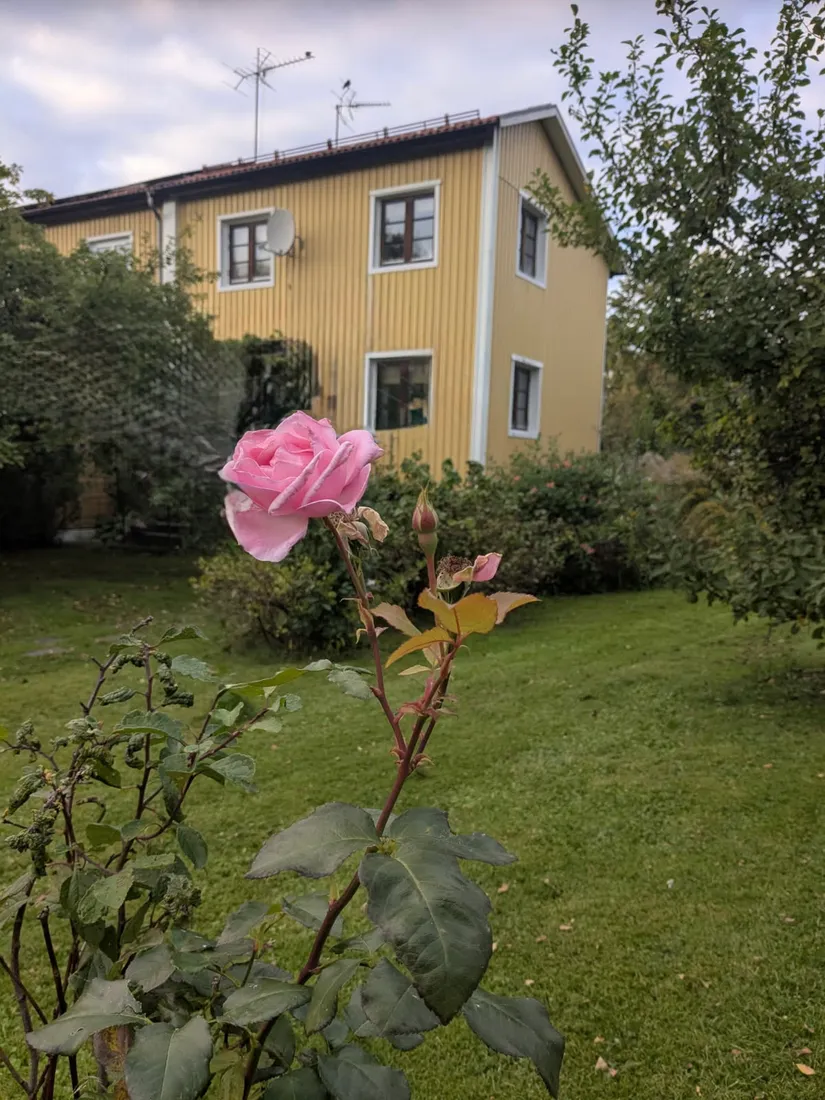 Villa, Radhus, Bergslagsvägen 61A, Svälthagen, Finspång
