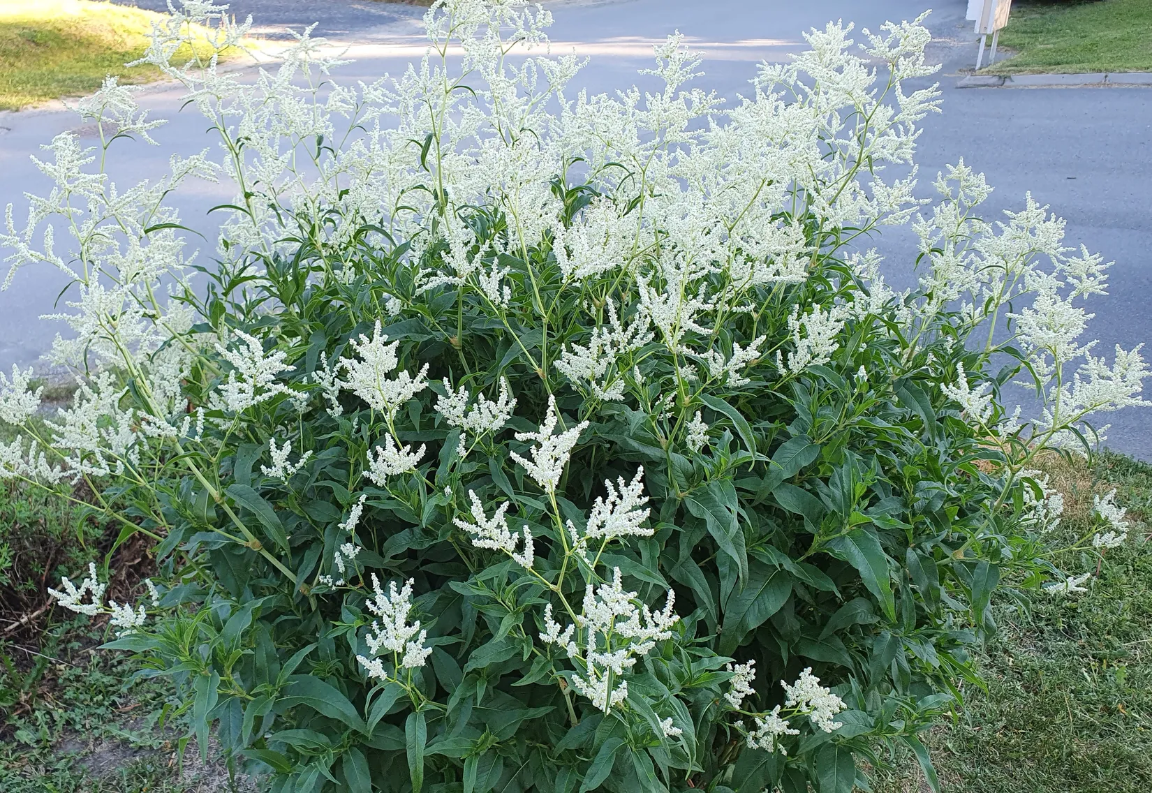 Villa, Horneyvägen 53, Mörsil, Åre