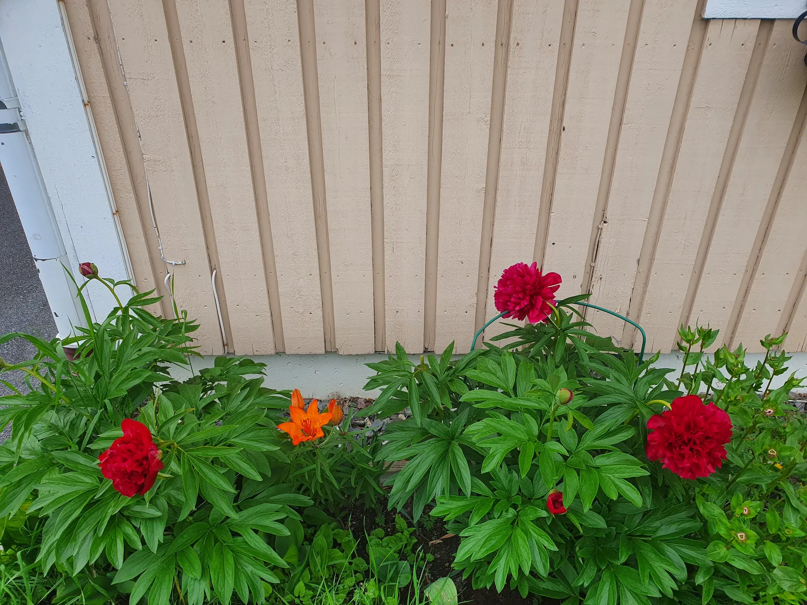 Villa, Horneyvägen 53, Mörsil, Åre