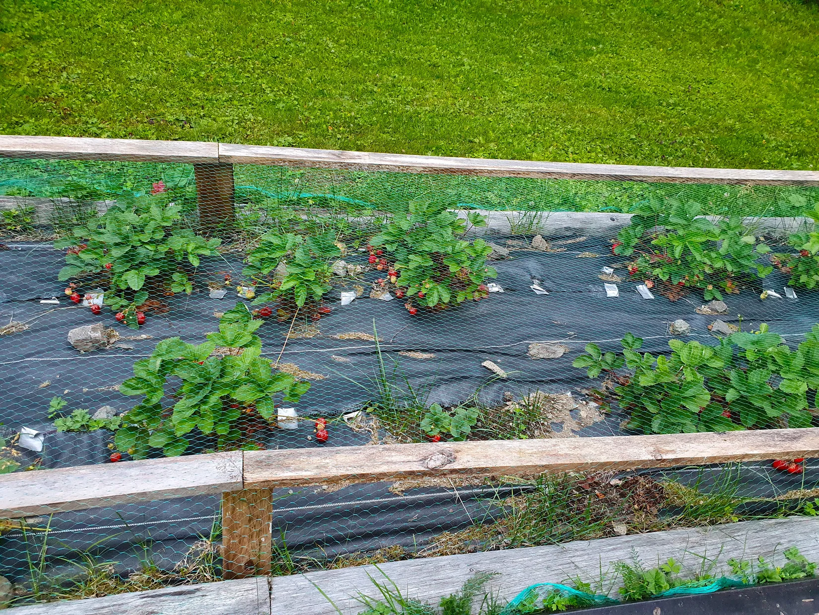 Villa, Horneyvägen 53, Mörsil, Åre