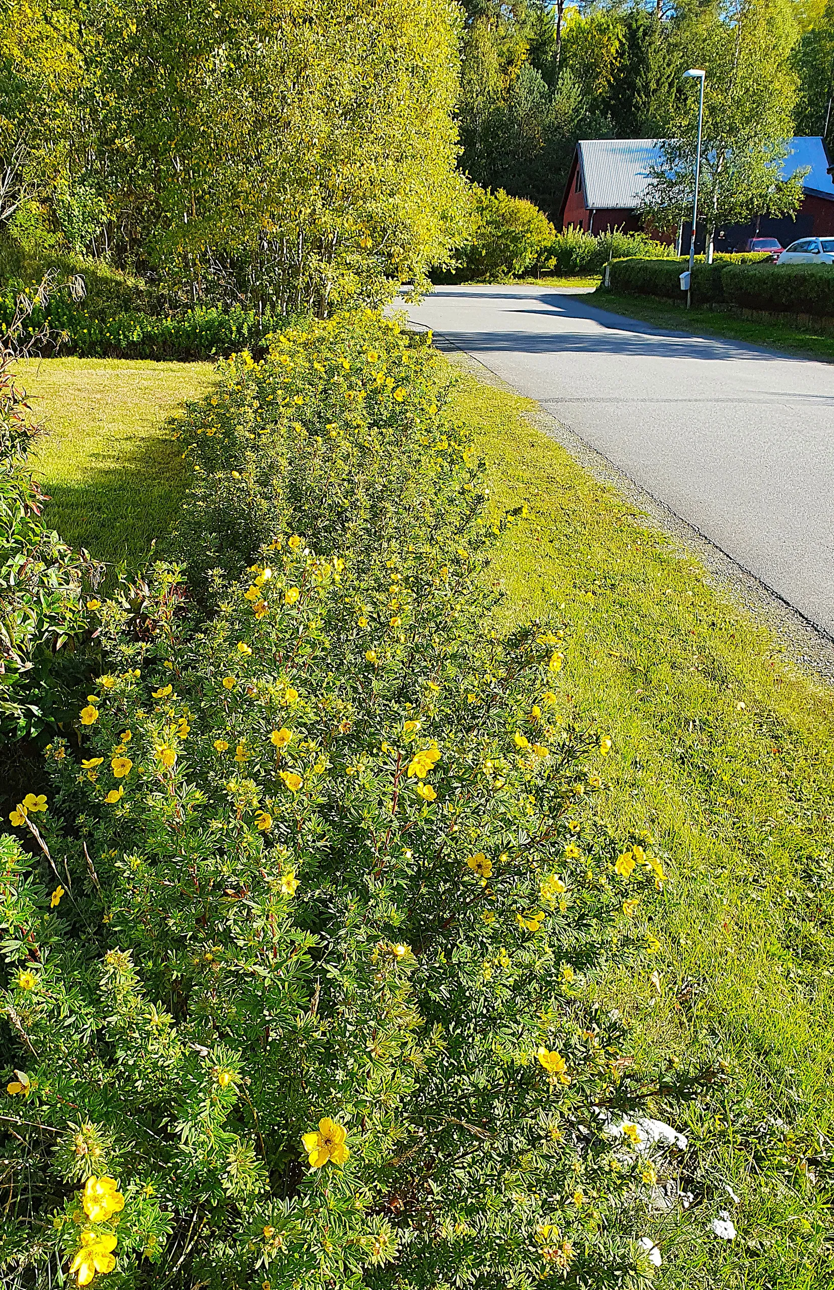 Villa, Horneyvägen 53, Mörsil, Åre