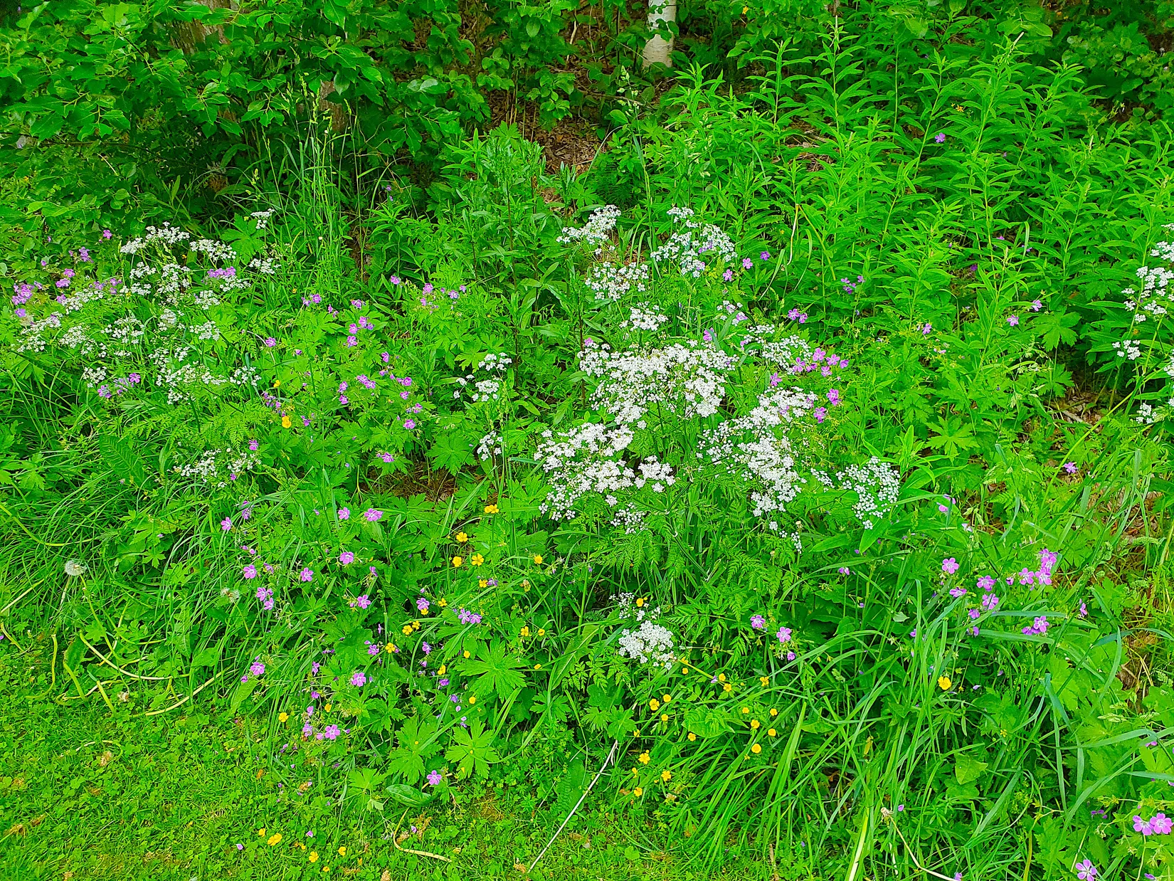 Villa, Horneyvägen 53, Mörsil, Åre