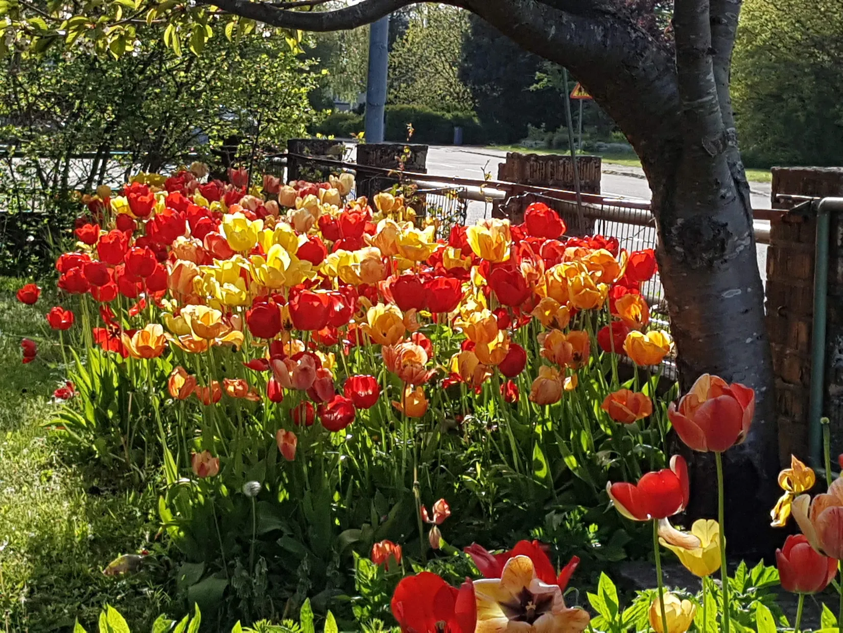 Villa, Tullgatan 2, Skillinge, Simrishamn