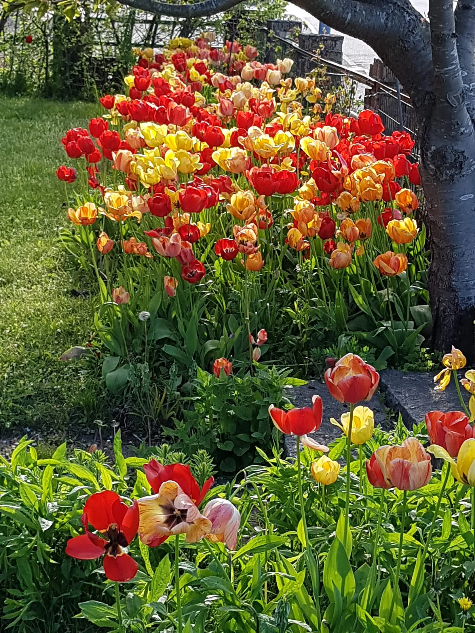 Villa, Tullgatan 2, Skillinge, Simrishamn