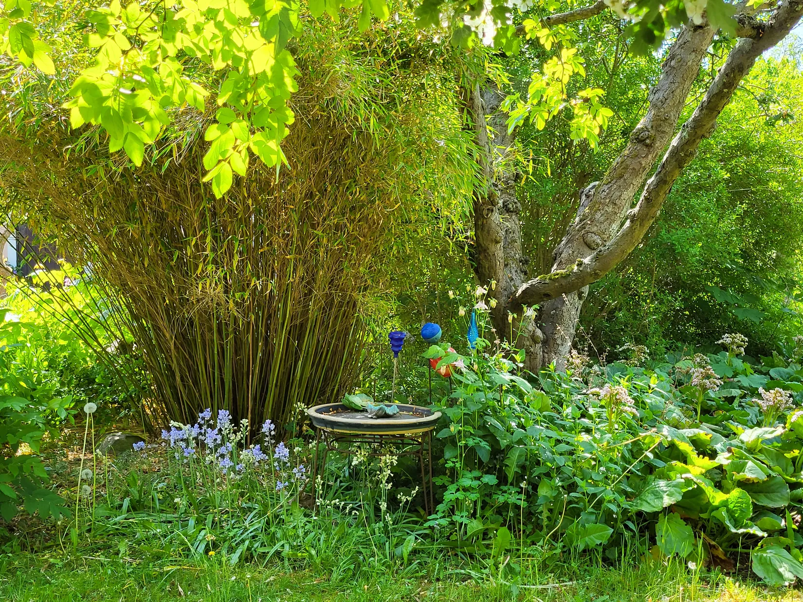 Villa, Tullgatan 2, Skillinge, Simrishamn