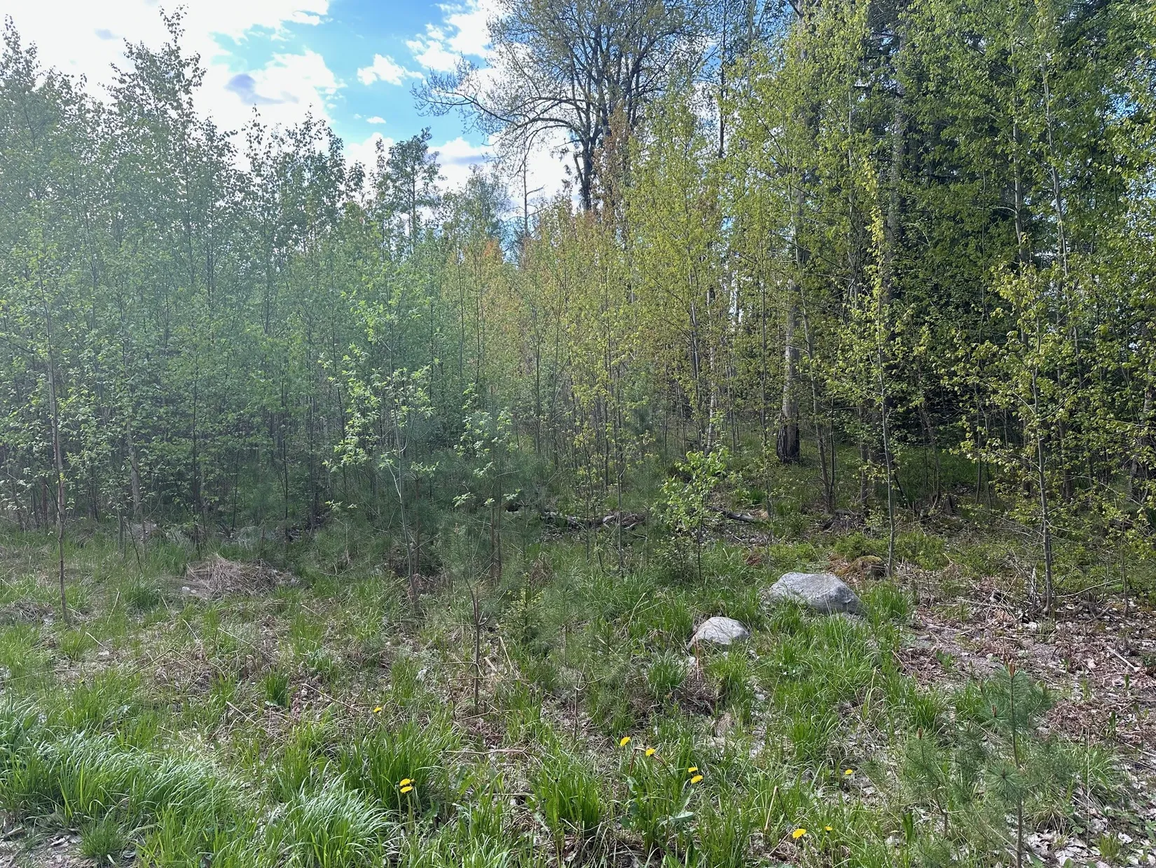 Tomt, Kårstahöjden 111, Kårsta, Vallentuna