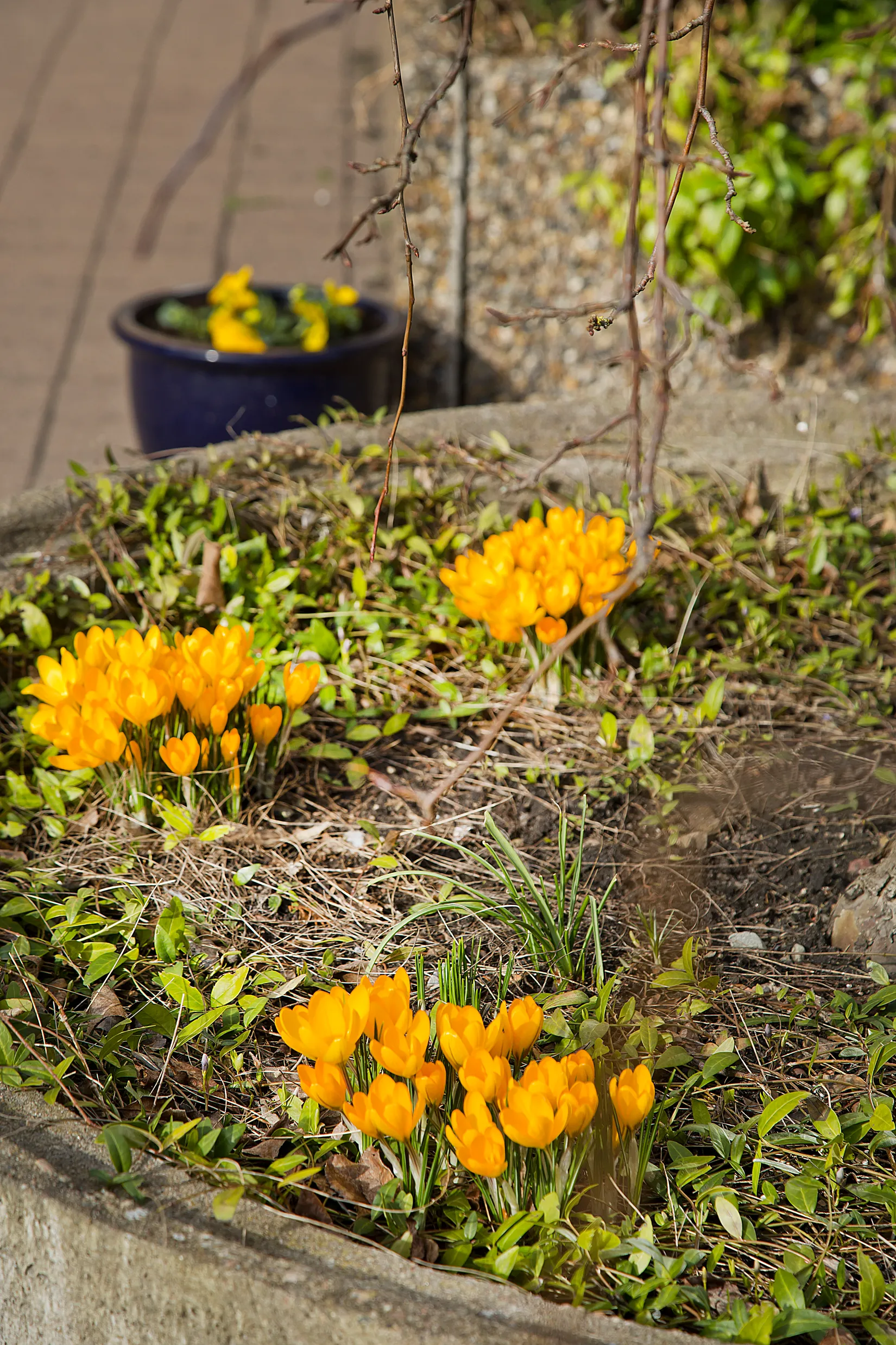 Bostadsrätt, Valldammsgatan 8, Centralt, Trelleborg , Trelleborg