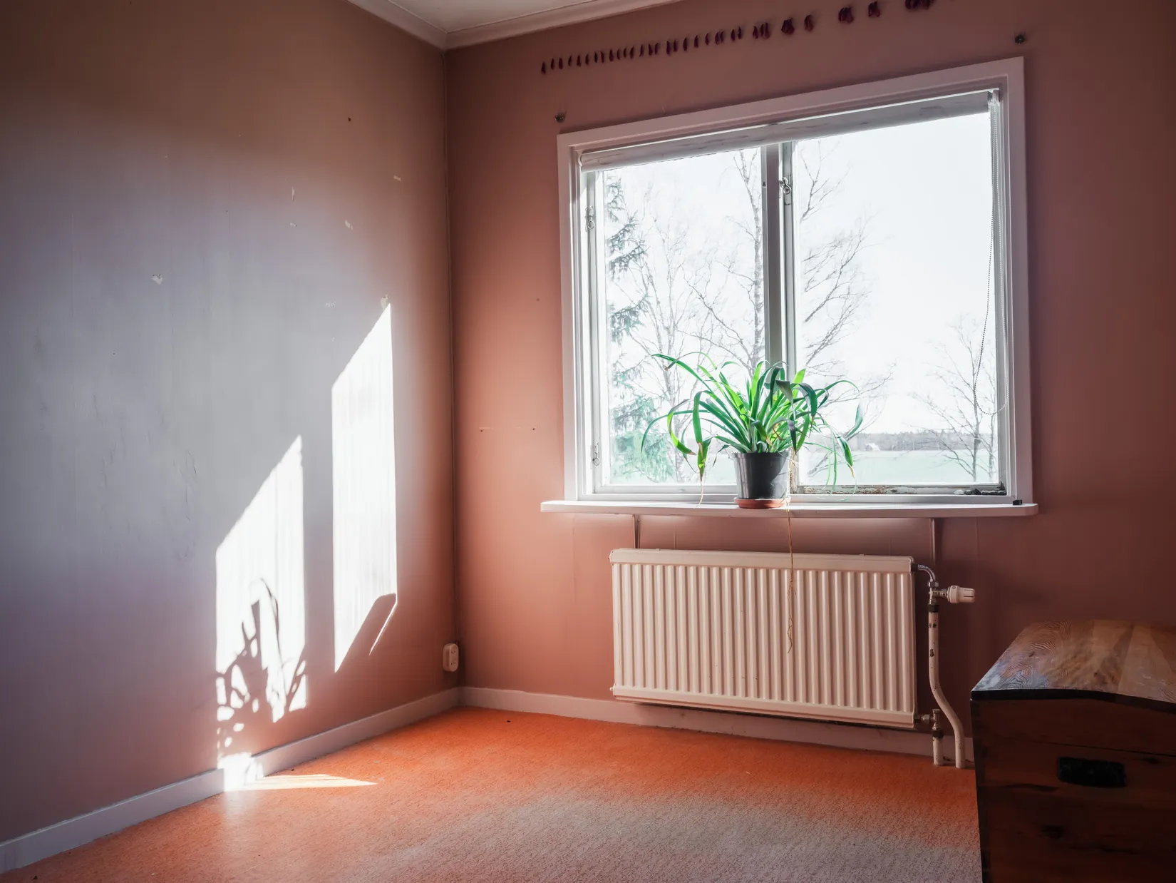 Gård/Skog, Mästerby Karls 412, Mästerby, Gotland