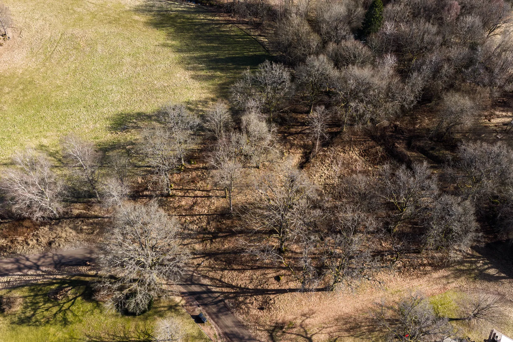 Tomt, Alandsryd Skattegård 2, Alandsryd, Värnamo