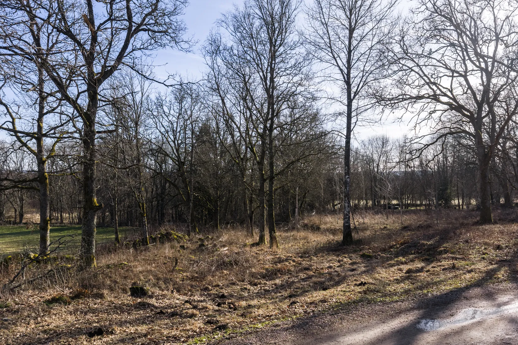 Tomt, Alandsryd Skattegård 2, Alandsryd, Värnamo