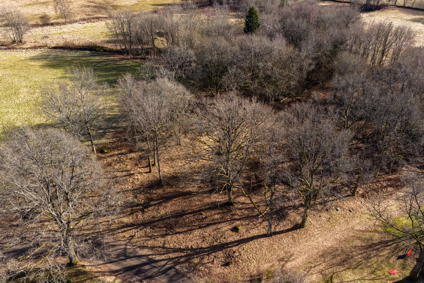 Tomt, Alandsryd Skattegård 2, Alandsryd, Värnamo