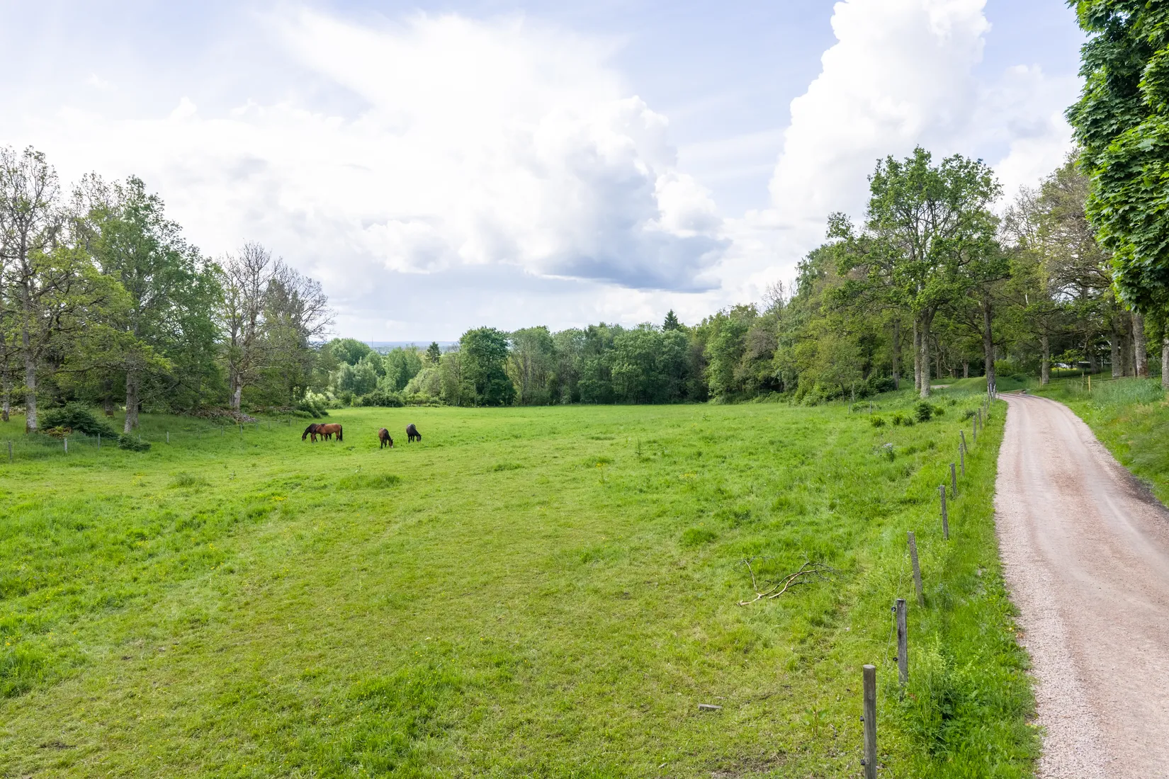 Tomt, Alandsryd Skattegård 2, Alandsryd, Värnamo