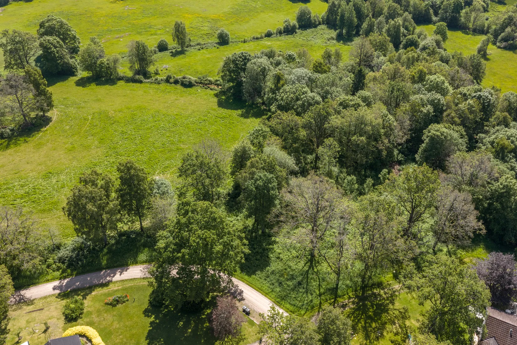 Tomt, Alandsryd Skattegård 2, Alandsryd, Värnamo
