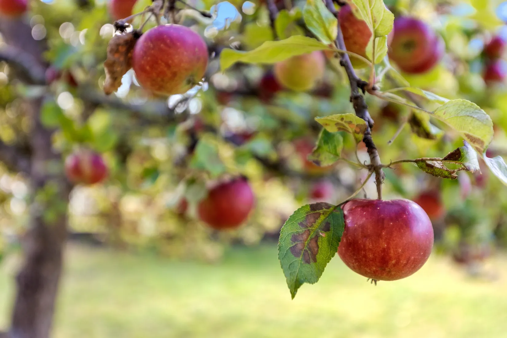 Villa, Rissnavägen 44, Spånga, Stockholm