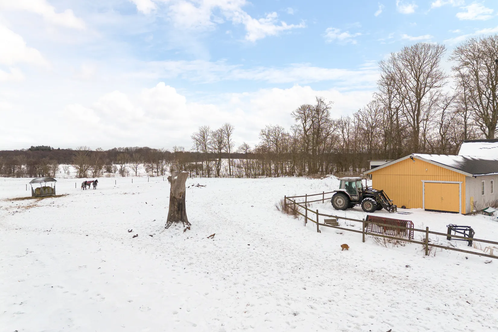 Gård/Skog, Sniberupsvägen 34, Vollsjö, Sjöbo
