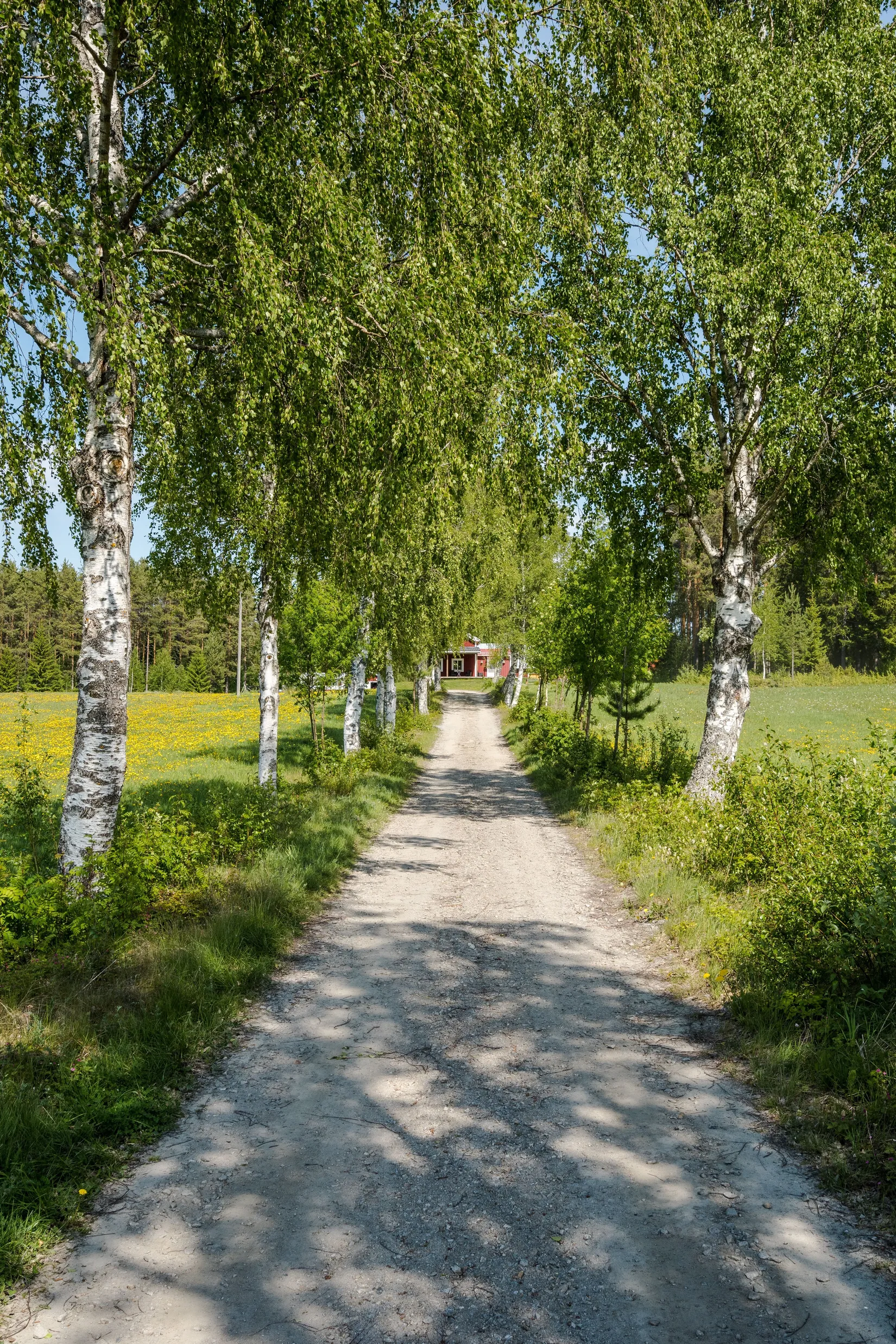 Villa, Bergnäs 4, Bergnäs, Skellefteå