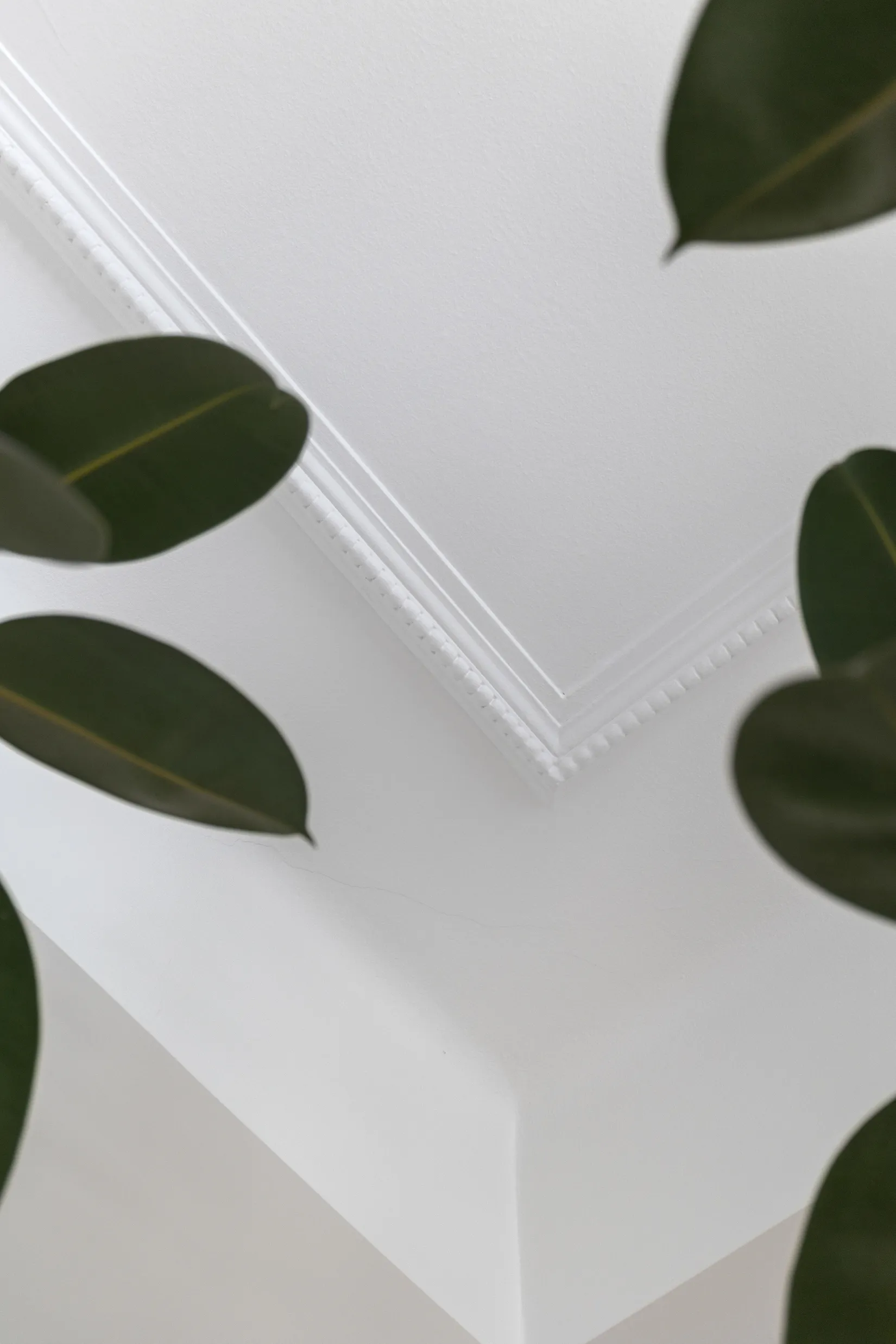 Bostadsrätt, Kungsgatan 35, Rörsjöstaden, Malmö