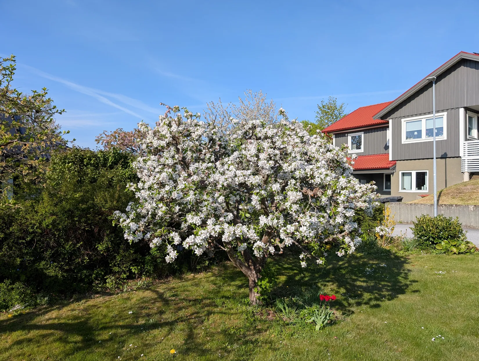 Villa, Sävstigen 4, Korpadalen, Karlshamn