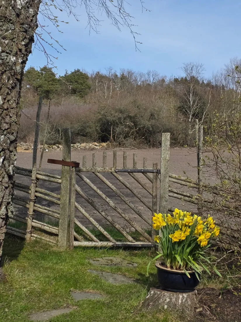 Villa, Nasaret 26, Värö, Varberg