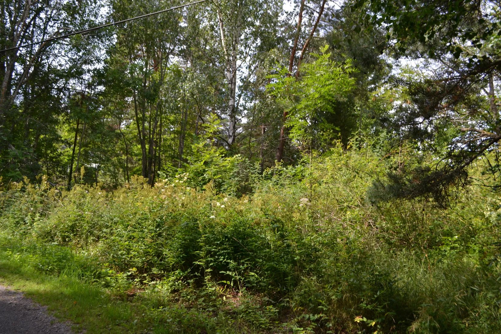 Tomt, Anderssvedjavägen 71, Anderssvedja, Norrtälje