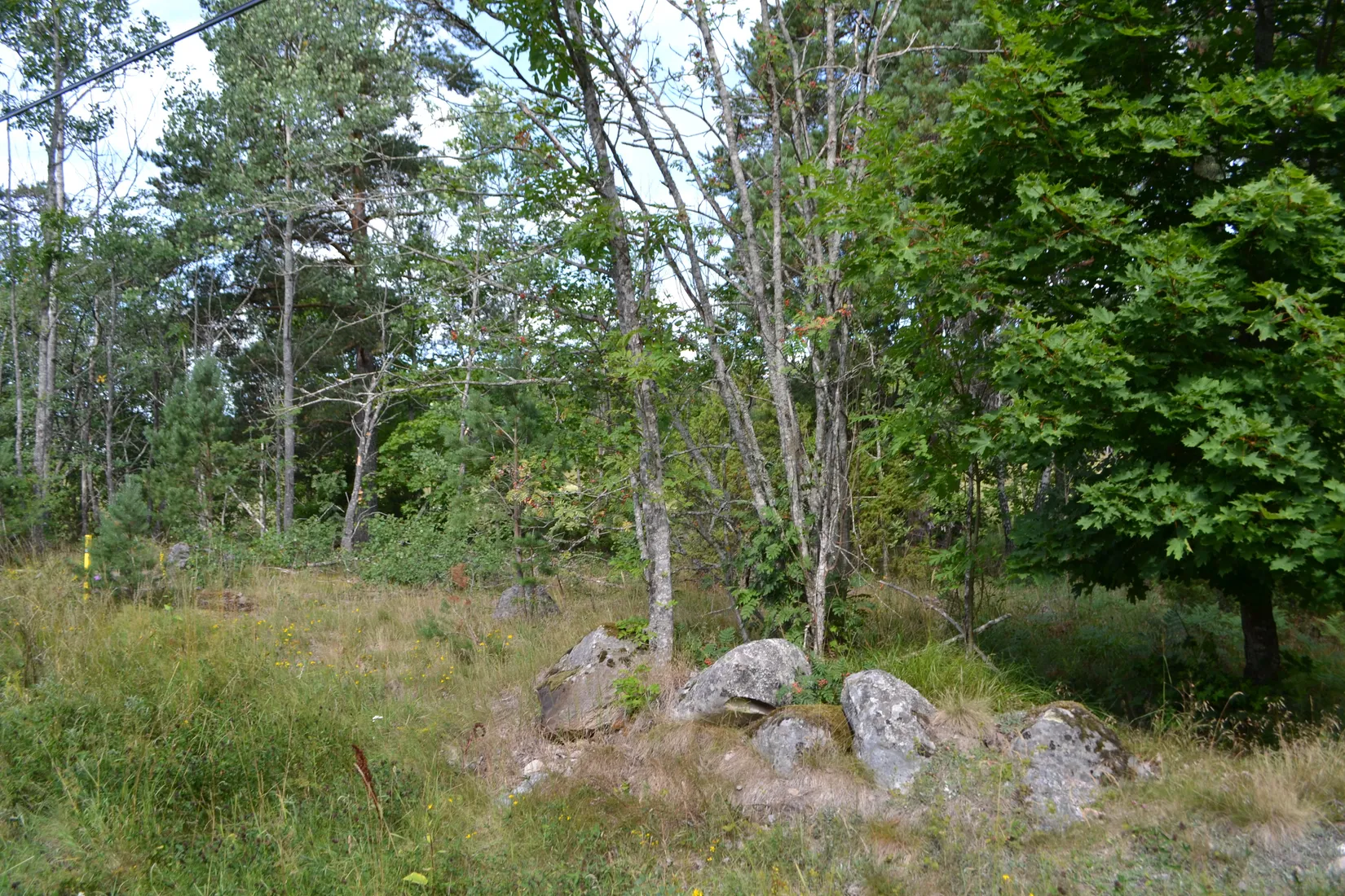 Tomt, Anderssvedjavägen 71, Anderssvedja, Norrtälje